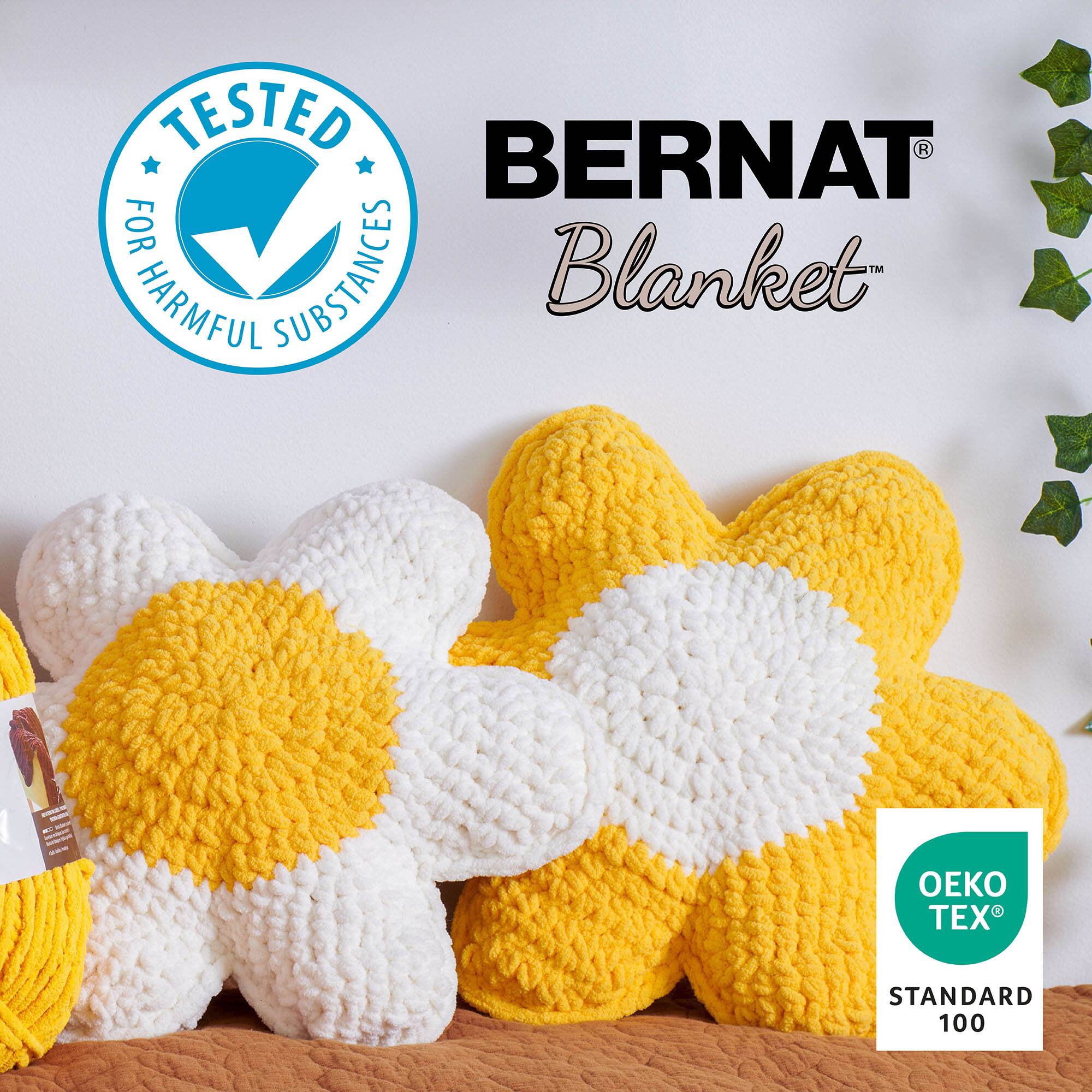 2 Pack Bernat® Blanket™ BB™ Yarn